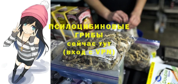 дурь Алексин