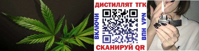 Купить закладки  Струнино  Дистиллят ТГК гашишное масло 